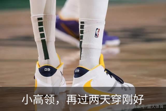 小高领，再过两天穿刚好